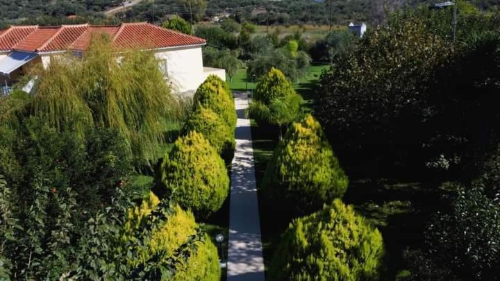 شقة Katerina House فينيكونتا المظهر الخارجي الصورة