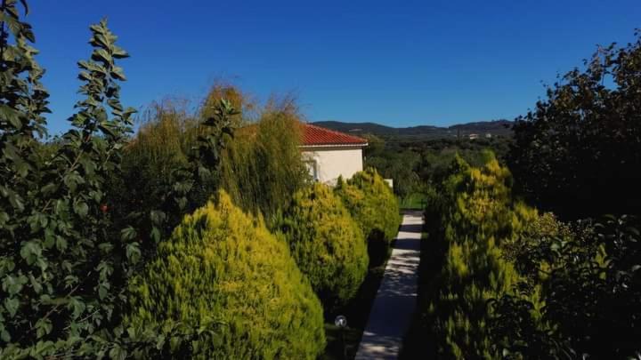 شقة Katerina House فينيكونتا المظهر الخارجي الصورة
